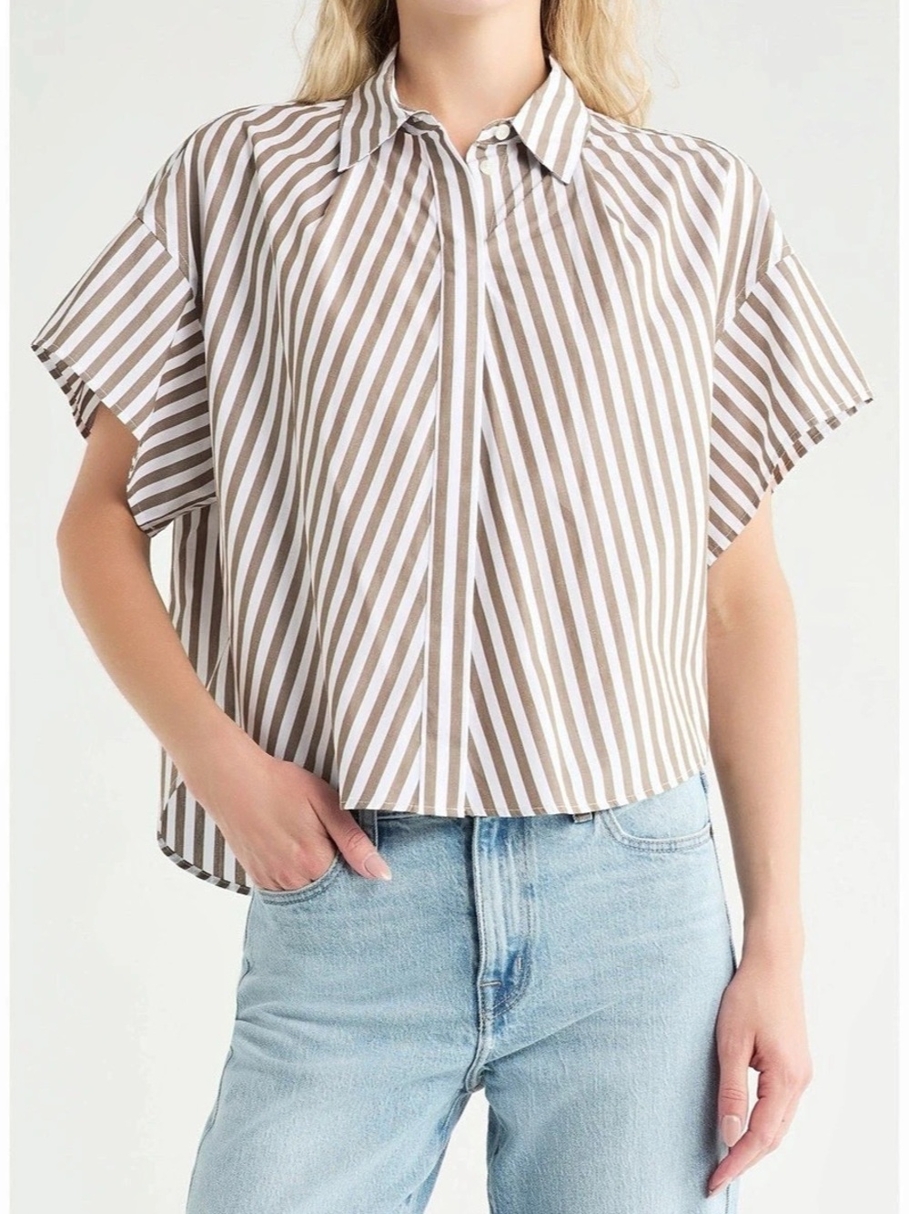Rag & Bone Maura Stripe Cotton Poplin Button-Up Shirt